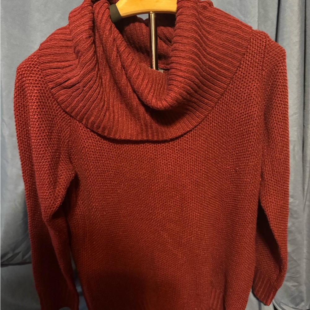 The Limited Rich Red Turtleneck Sweater